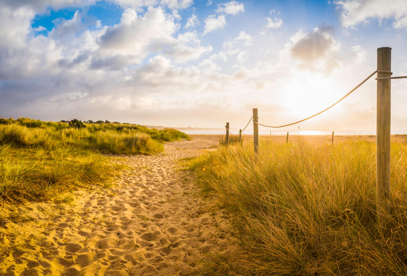 Summer 2025 Newsletter